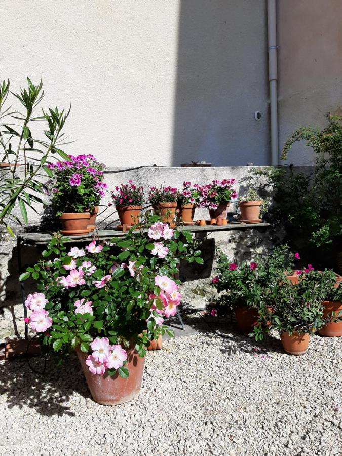 Maison D'Hotes Ventoureso Malemort-du-Comtat Zewnętrze zdjęcie
