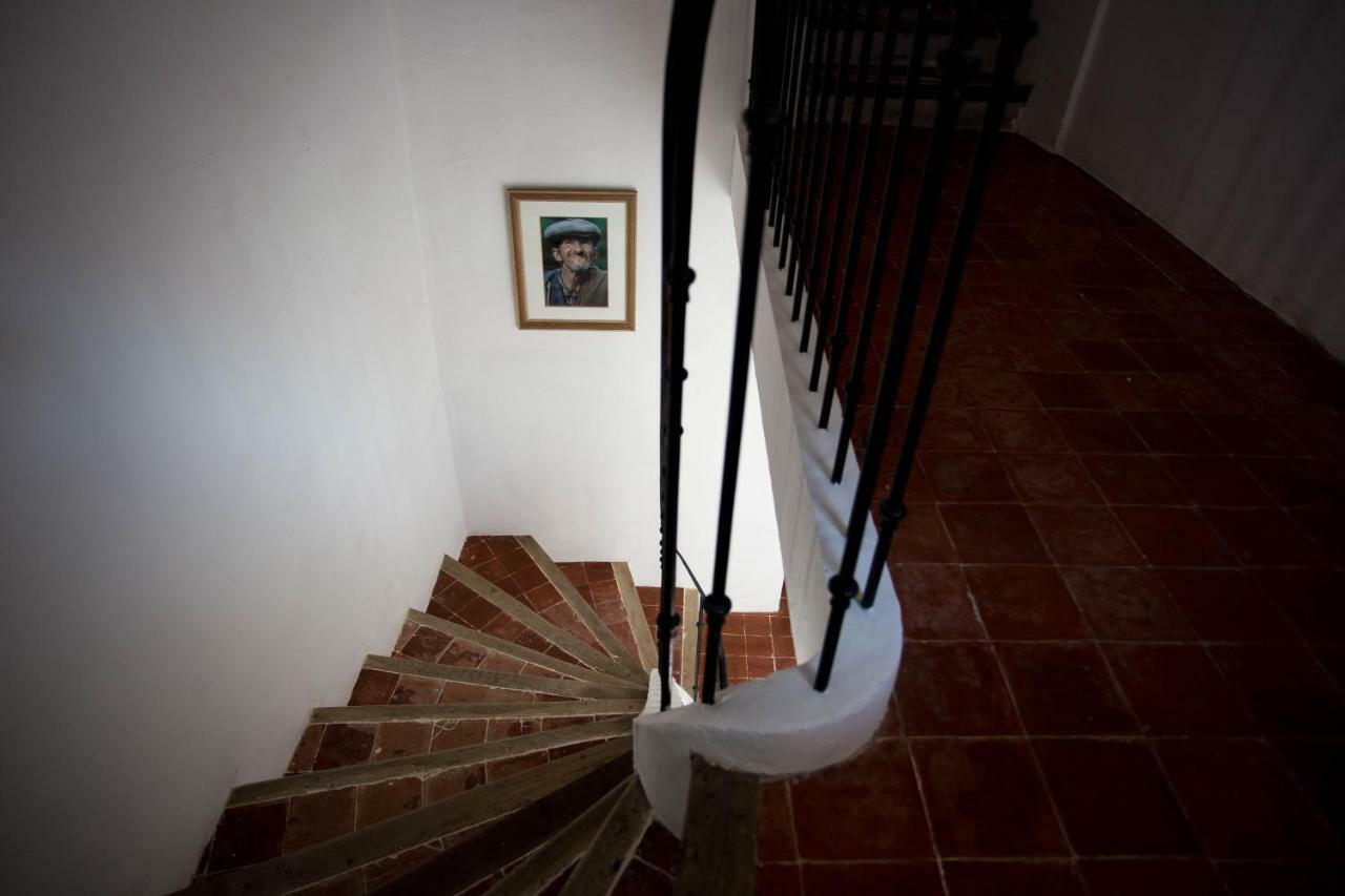 Maison D'Hotes Ventoureso Malemort-du-Comtat Zewnętrze zdjęcie